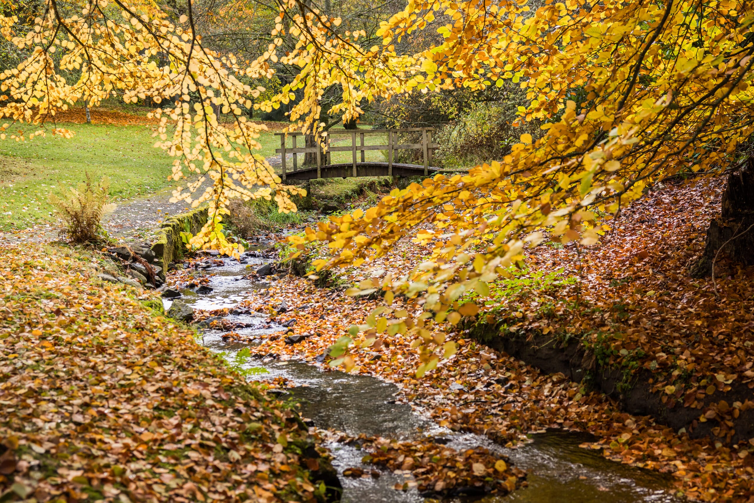 Autumn Photography Workshop at Kailzie